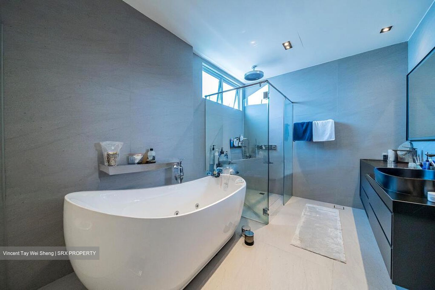 Siglap Road (D15), Semi-Detached #498203871